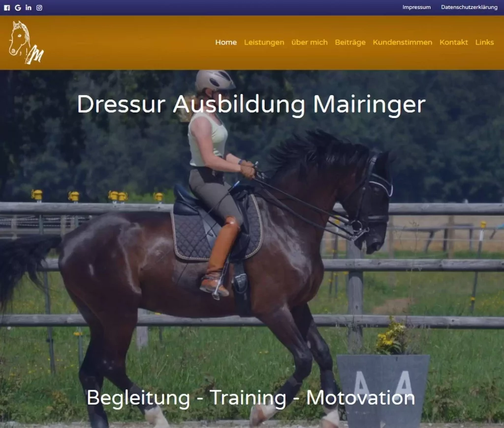 dressurausbildung-mairinger_new